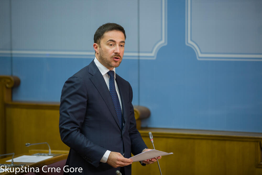 Bogdanović, Foto: Skupština Crne Gore