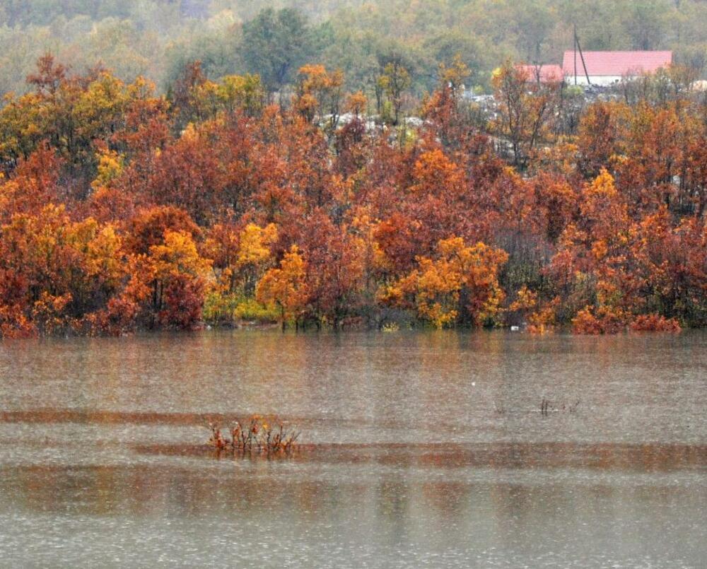 Rijeka Zeta, Nikšić