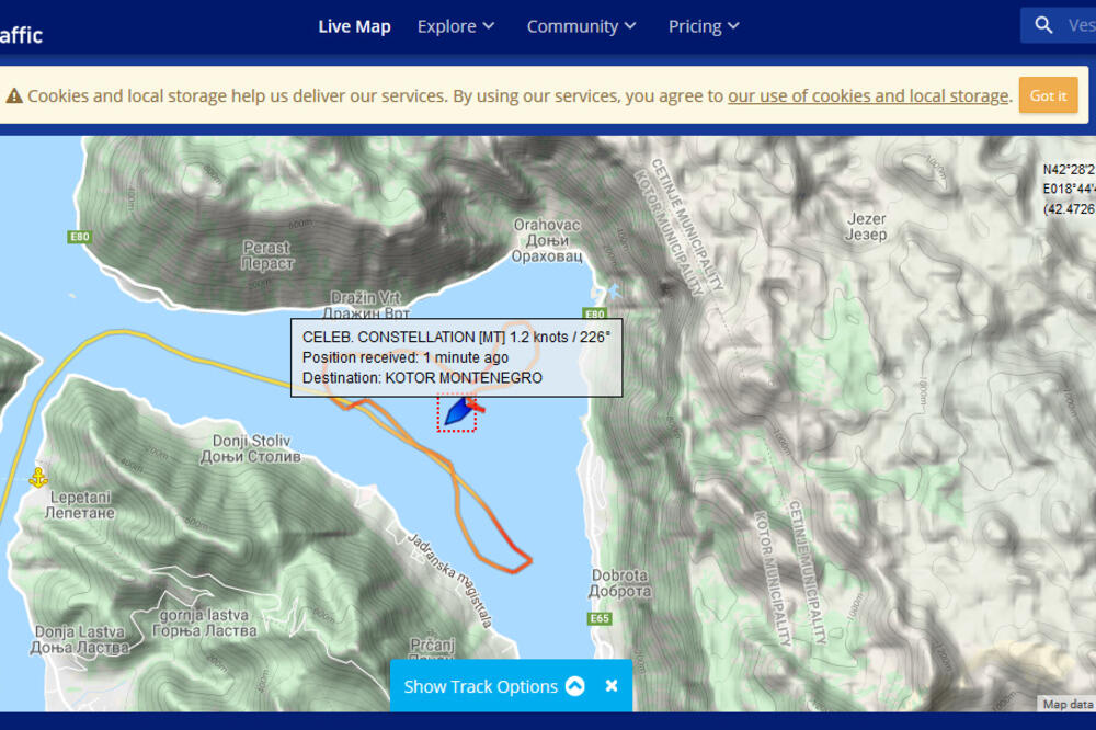 Elektrosnki prikaz kretanja Celebrity Constellationa, Foto: Printscreen