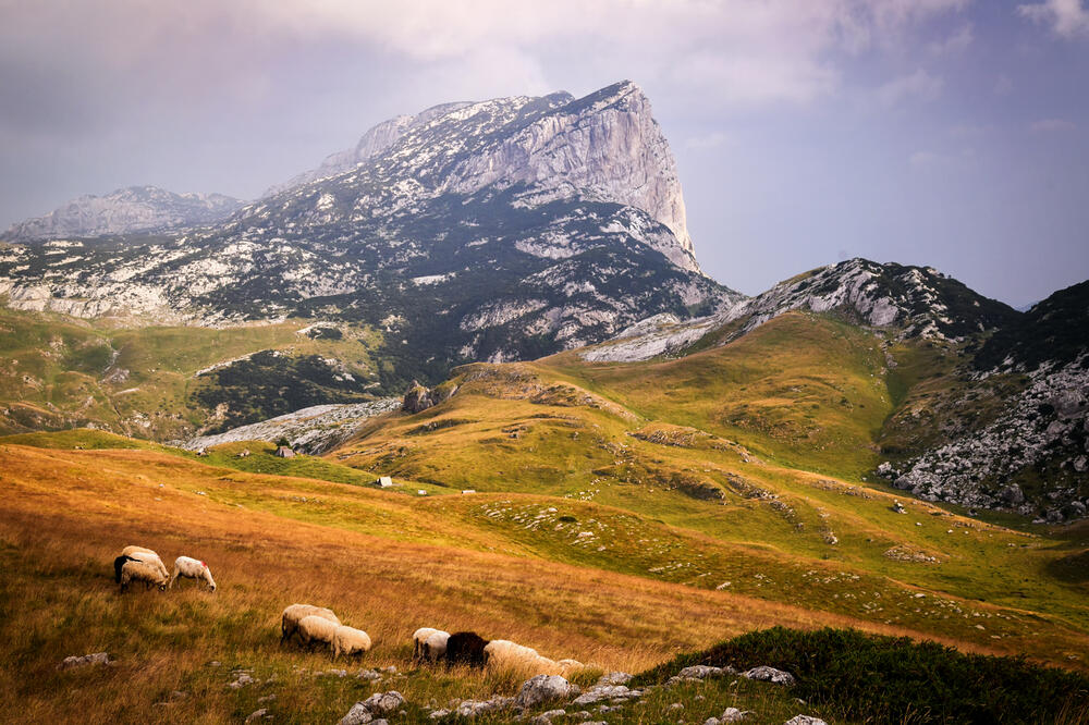 Durmitor, Foto: Shutterstock