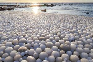 Kako su "ledena jaja" prekrila plažu u Finskoj