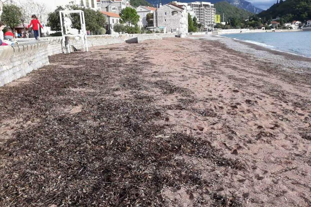 Plaža u Petrovcu, Foto: Privatna arhiva