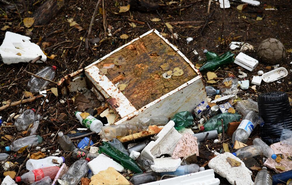 Nakon obilnih kiša na Skalinama su, nakon povlačenja vode, ostale velike količine otpada. Radnici Čistoće juče su očistili smeće ispod starog mosta na Ribnici, a na Skalinama je i ovog jutra bila gomila smeća. Pogledajte fotografije koje je zabilježio fotoreporter "Vijesti" Boris Pejović.