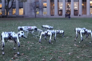 Roboti se "zabavljali" u parku: Igrali fudbal i pravili salto...