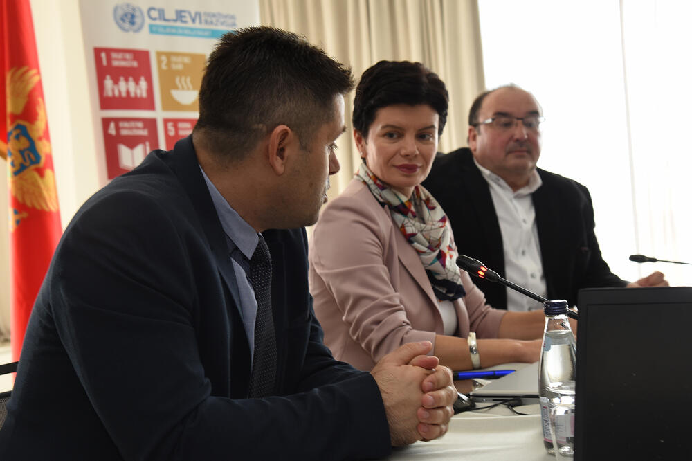 Konferencija o klimatskim promjenama, Foto: Savo Prelević
