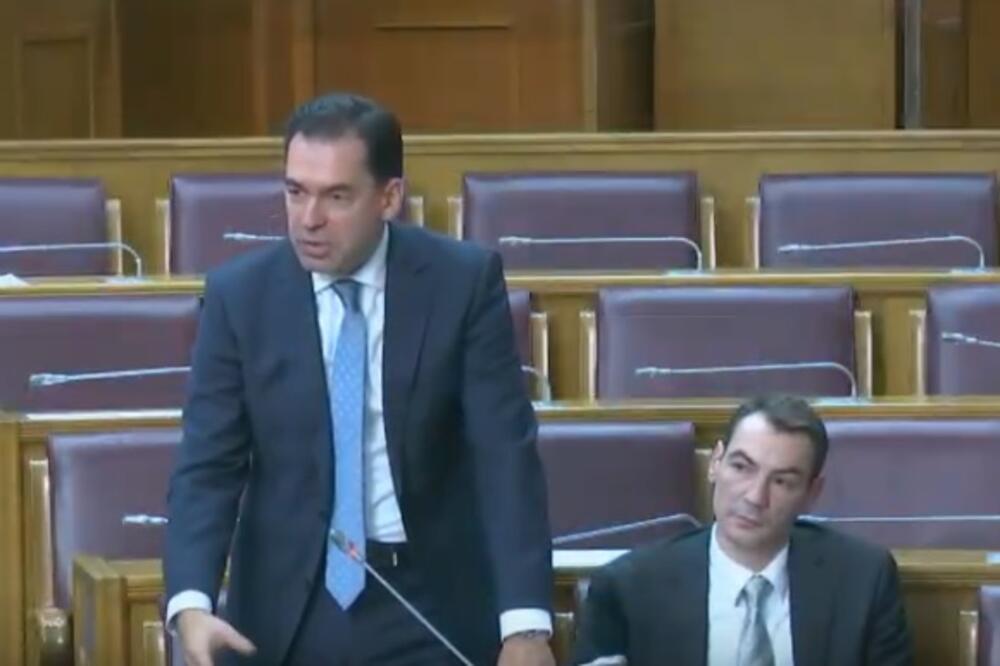 Pažin u Skupštini, Foto: Screenshot/Youtube