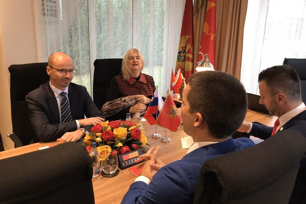 Sa sastanka, Foto: Demokrate