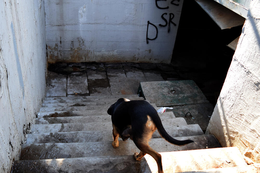 Prolaz u užasnom stanju, Foto: Luka Zeković