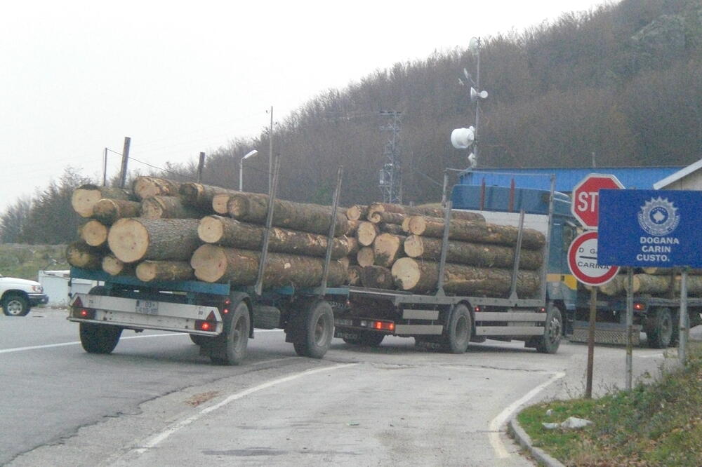 Izvoz drvne građe, Foto: Arhiva Vijesti