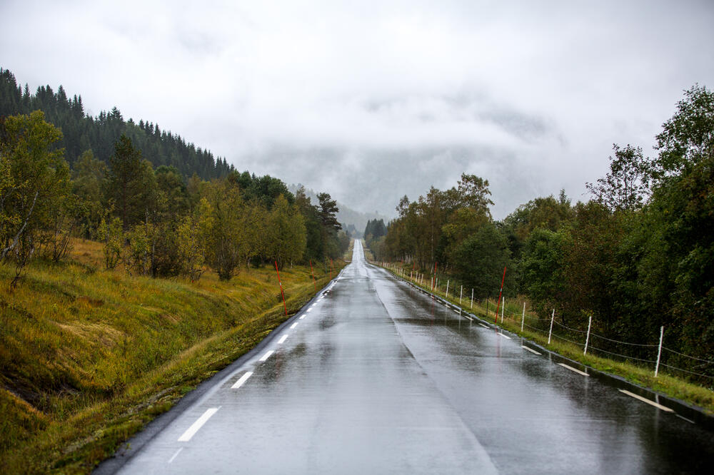 Ilustracija, Foto: Shutterstock