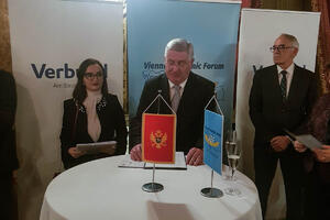 Golubović pozvao investitore da ulažu u crnogorsku ekonomiju
