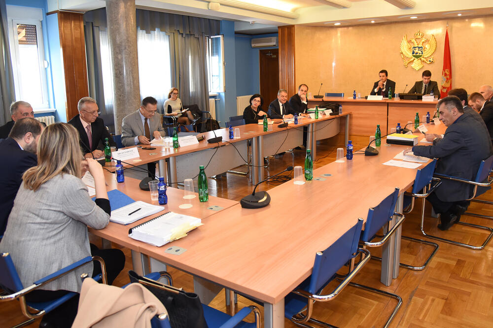 Odbor za ekonomiju, Foto: Savo Prelević