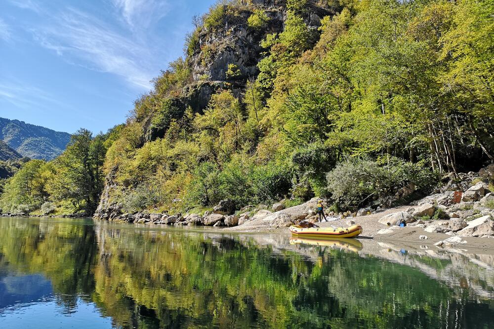 Tara, Foto: Jelena Jovanović