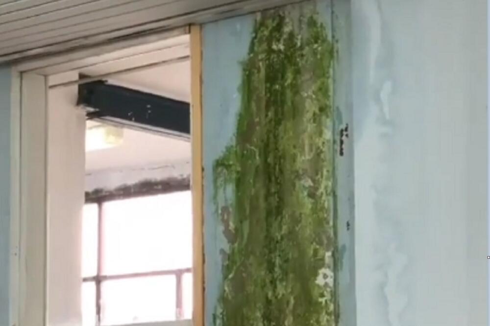 Zeleni zidovi škole, Foto: Podgorički vremeplov