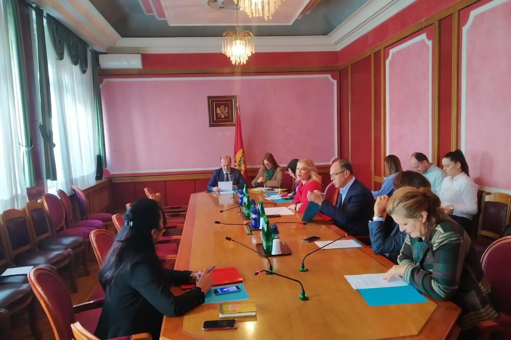 Sa sjednice Odbora, Foto: Borko Ždero