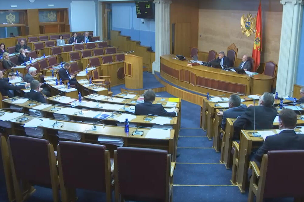 Detalj iz Skupštine, Foto: Screenshot