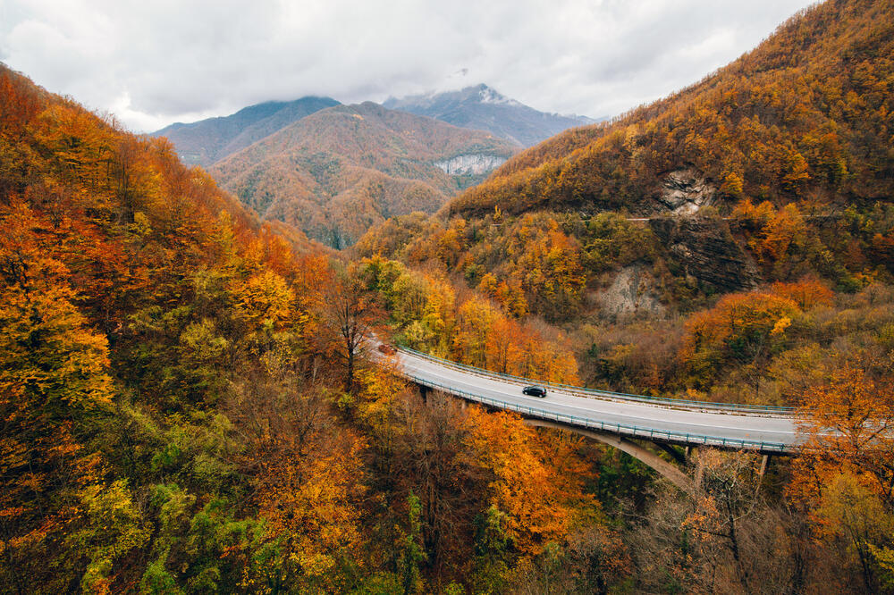 Ilustracija, Foto: Shutterstock