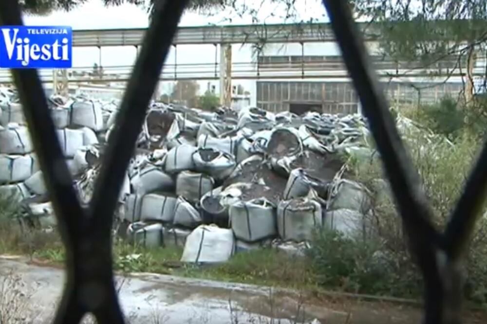 Grit u Bijeloj, Foto: Screenshot