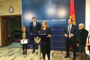 "Žene nemaju nemaju isti pristup javnim resursima u Crnoj Gori"