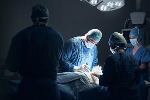Bubreg za Ginisov rekord: Doktor u Indiji izvadio organ težak 7,4...