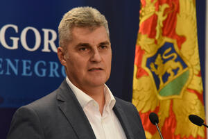 Brajović: Crna Gora stoji na raspolaganju prijateljskoj Albaniji