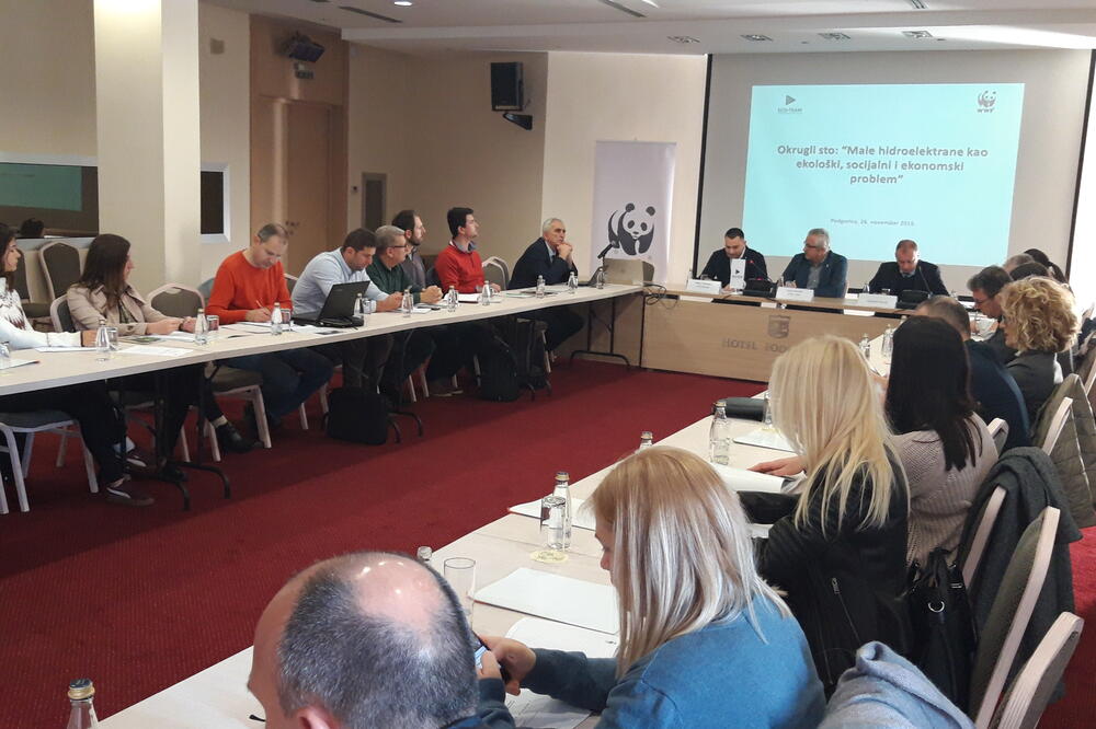 Sa okruglog stola, Foto: WWF Adrija