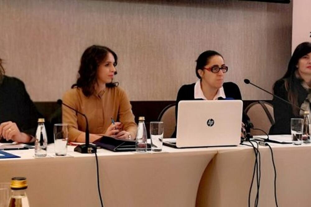 Na okruglom stolu ZID-a govorili Svetlana Krgović, Sanda Rakočević, Edina Dešić, Igor Milošević, Đuro Kažić, Foto: Zzz