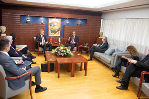 Brajović razgovarao sa predsjednikom Predstavničkog doma Kipra