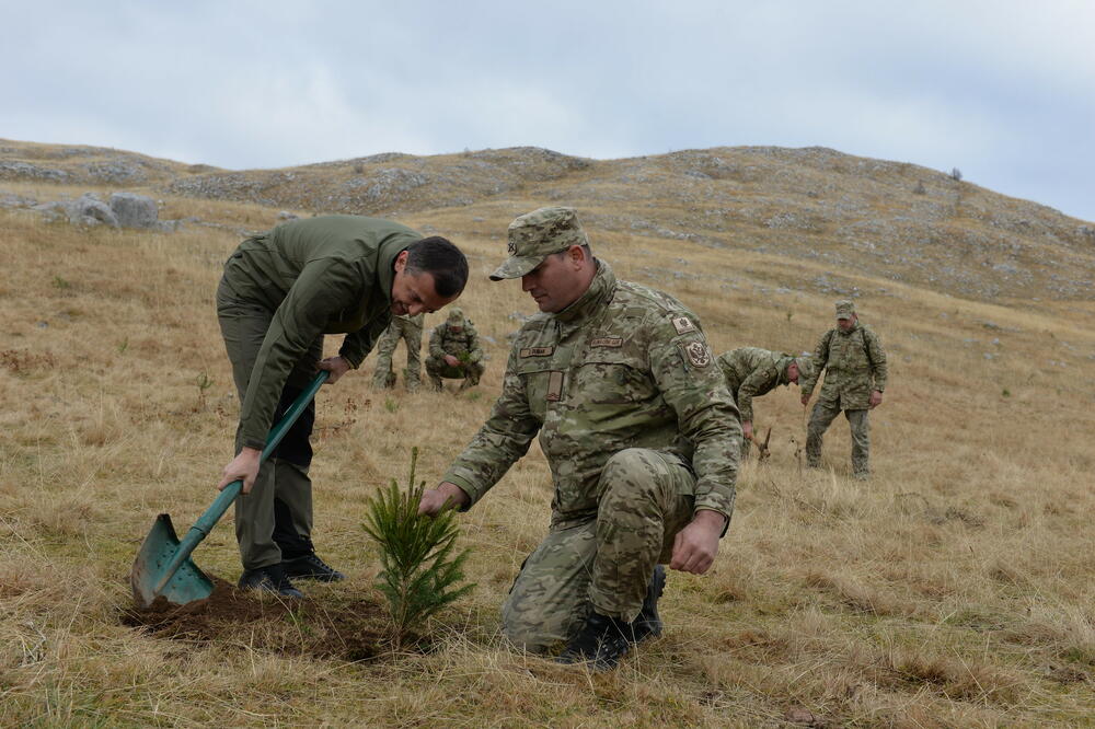Sa akcije pošumljavanja, Foto: Ministarstvo odbrane