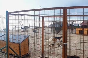 Herceg Novi: Azil za pse dobio 20 novih kućica