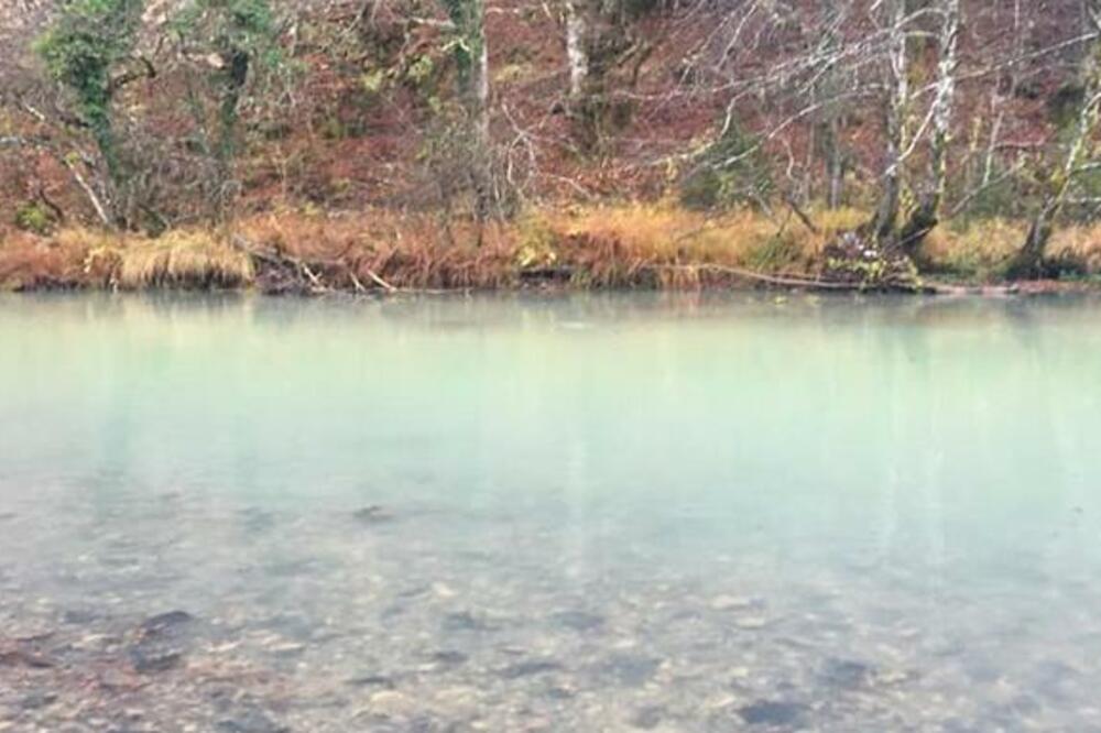 Ćehotina, Foto: Goran Malidžan