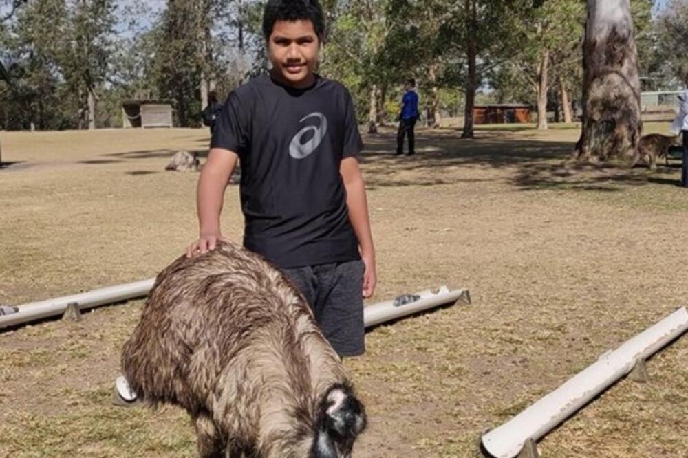 Debao, Foto: Instagram