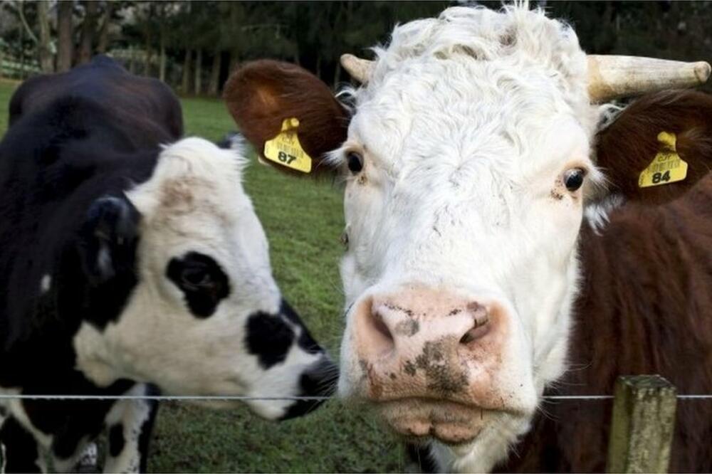 Ilustracija, Foto: Reuters