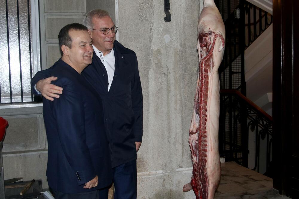 Dačić i Gruško, Foto: BETAPHOTO