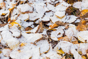 Popodne kiša, na sjeveru susnježica i snijeg