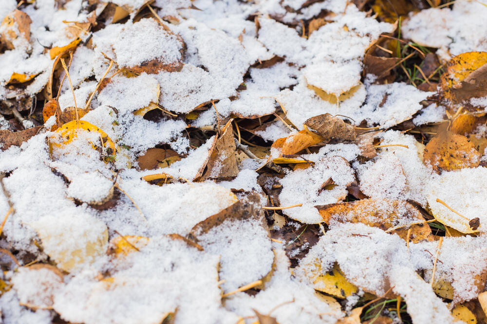 Ilustracija, Foto: Shutterstock