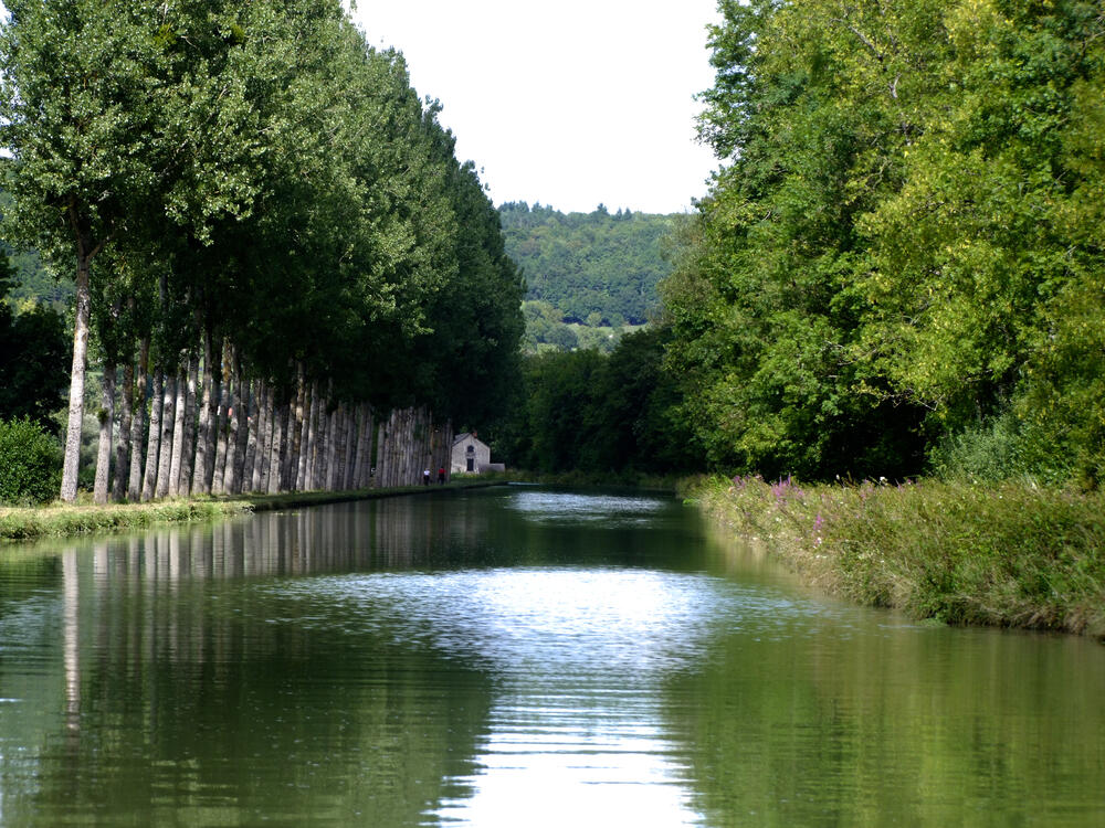 Francuska je proglasila još jednu oblast nacionalnim parkom.Novi nacionalni park obuhvata 250.000 hektara šuma Šampanje i Burgonje. To je 11. nacionalni park Francuske i nalazi se na tri sata udaljenosti od Pariza.
