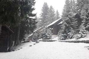 FOTO PRIČA Sjever Crne Gore pod snijegom