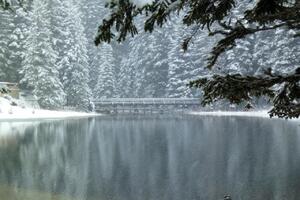 Pogledajte: Zimska čarolija na Crnom jezeru