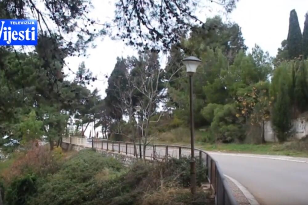 Borova šuma u Ulcinju, Foto: Screenshot/Youtube