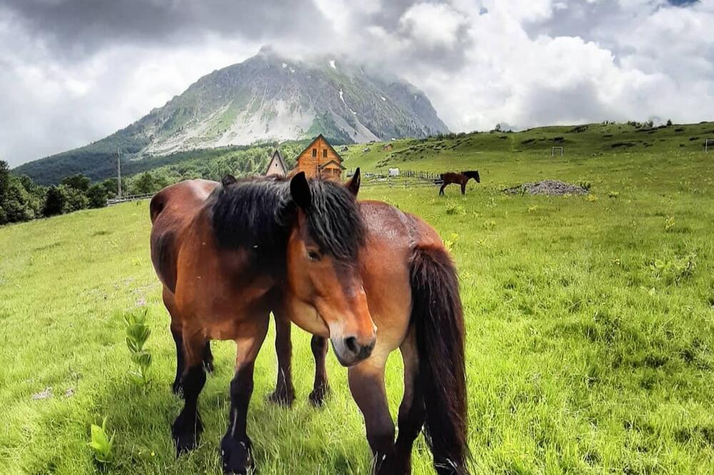 Konačno zaštićeni: Komovi, Foto: Željko Pejović