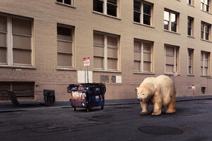 Ruski grad preplavljen gladnim polarnim medvjedima