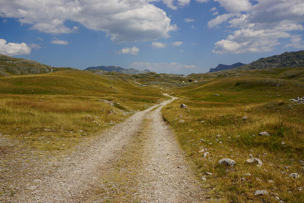 Sinjajevina – da hrani ili da brani?