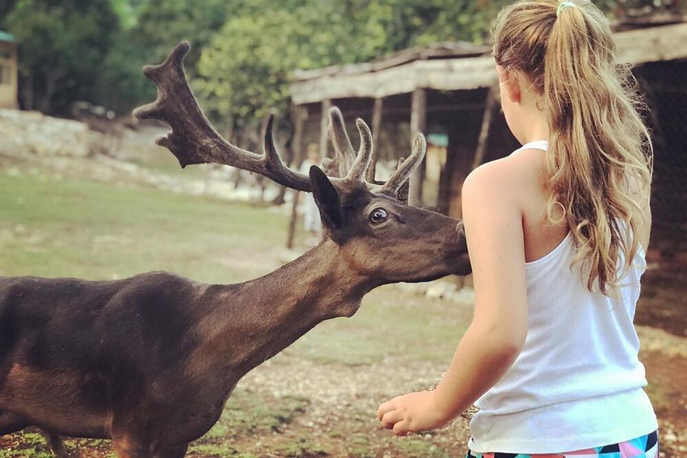 Iz prihvatilišta, Foto: Prihvatilište