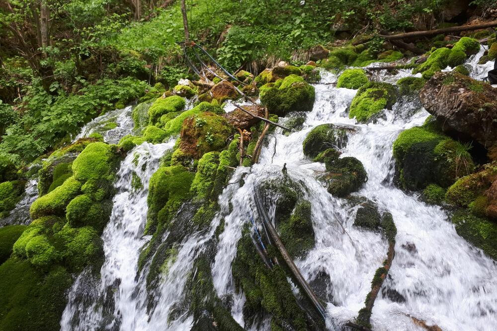 Izvor Lještanice, Foto: Green Home