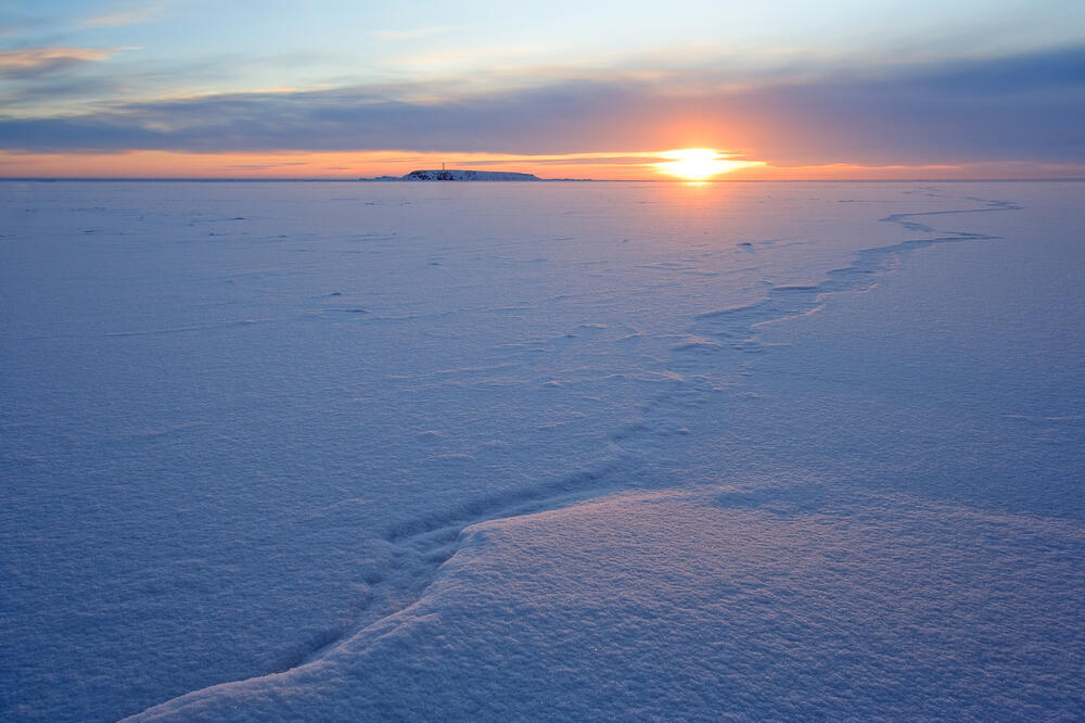 Arktik: Ilustracija, Foto: Shutterstock, Shutterstock