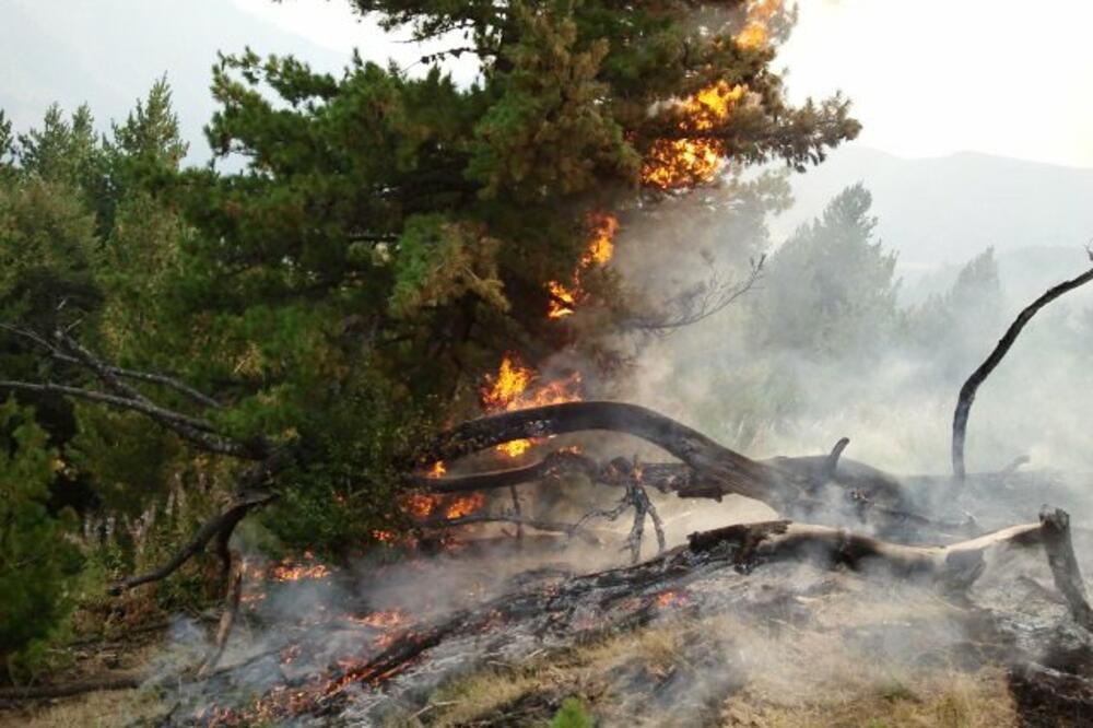 Požar u Nacionalnom parku Prokletije, Foto: Arhiva Vijesti