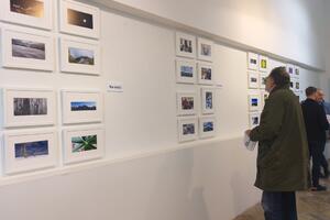 Ambrozova i Reljina foto drugovanja