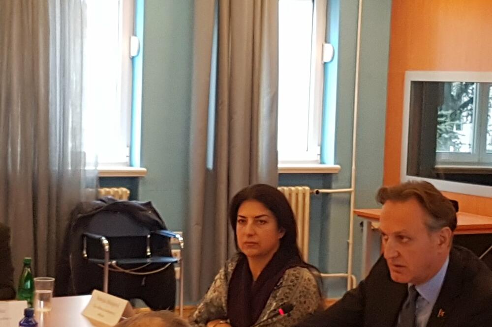 Krivokapić na sjednici Odbora, Foto: Biljana Matijašević