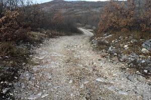 Bolji dani stižu za sela Prigradina, Busak i Cerovica